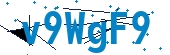 recaptcha