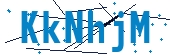 recaptcha