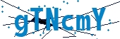 recaptcha