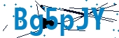recaptcha