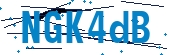 recaptcha