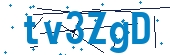 recaptcha