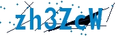 recaptcha