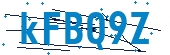 recaptcha