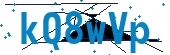 recaptcha