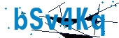 recaptcha